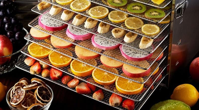 Best Food Dehydrator