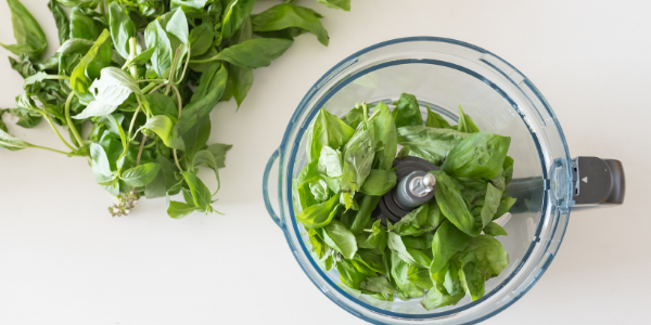 A blender filled with green leaves next to a pile of leaves