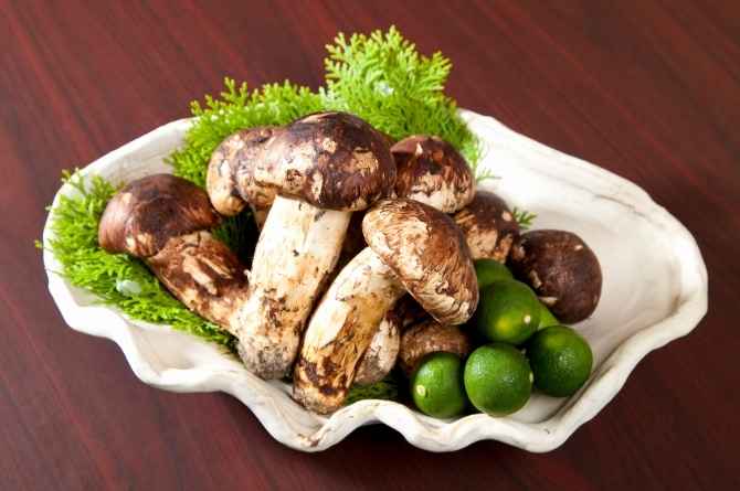 Matsutake mushrooms in a table
