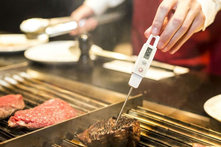 Best Meat Thermometer For Smoker
