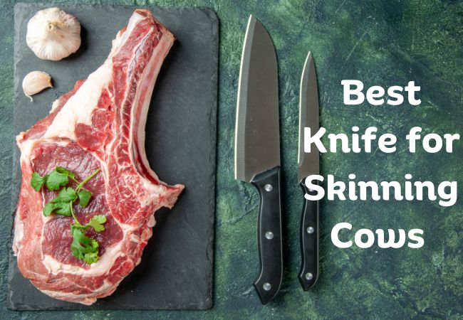 Best Knife for Skinning Cows